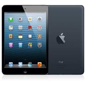 iPad mini Wi-Fi 16GB, 16GB, Black