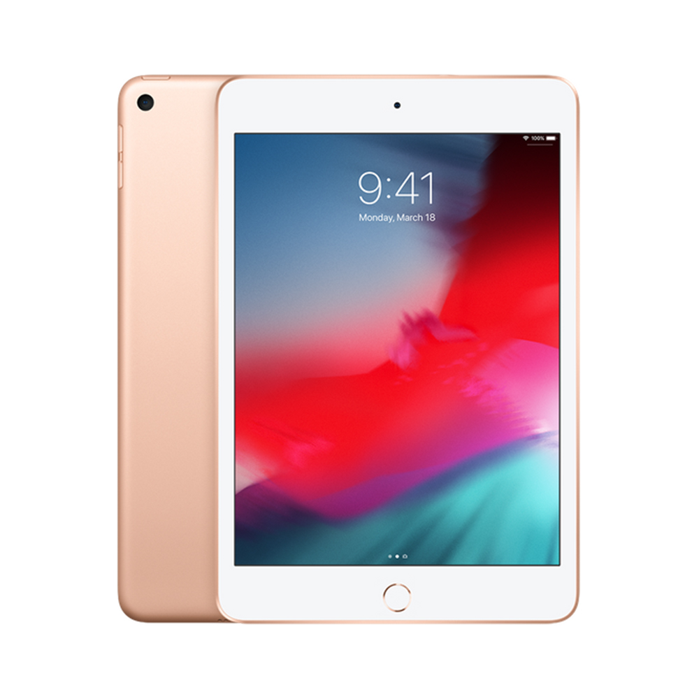 Begagnad iPad mini 5 Wi-Fi + Cellular 64GB Gold - 64GB