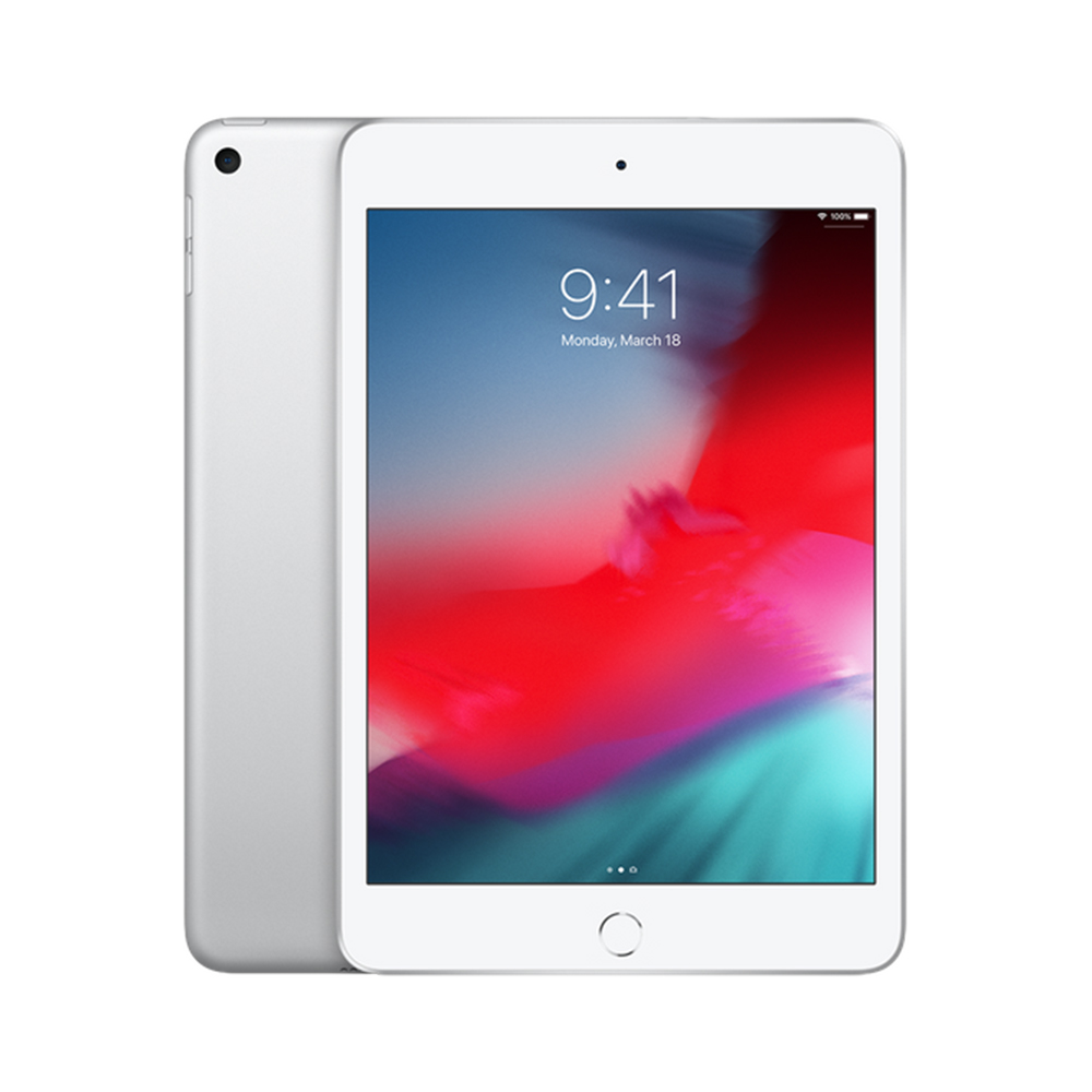 Begagnad iPad mini 5 Wi-Fi 64GB Silver - 64GB