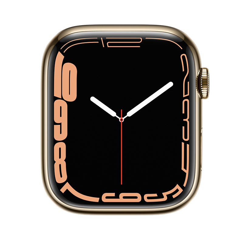Begagnad Apple Watch Series 7 Steel Cellular (45mm) Gold Black Sport Band