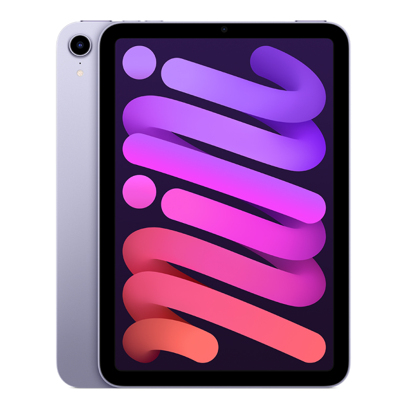 Begagnad iPad mini 6 Wi-Fi + Cellular 64GB Purple - 64GB