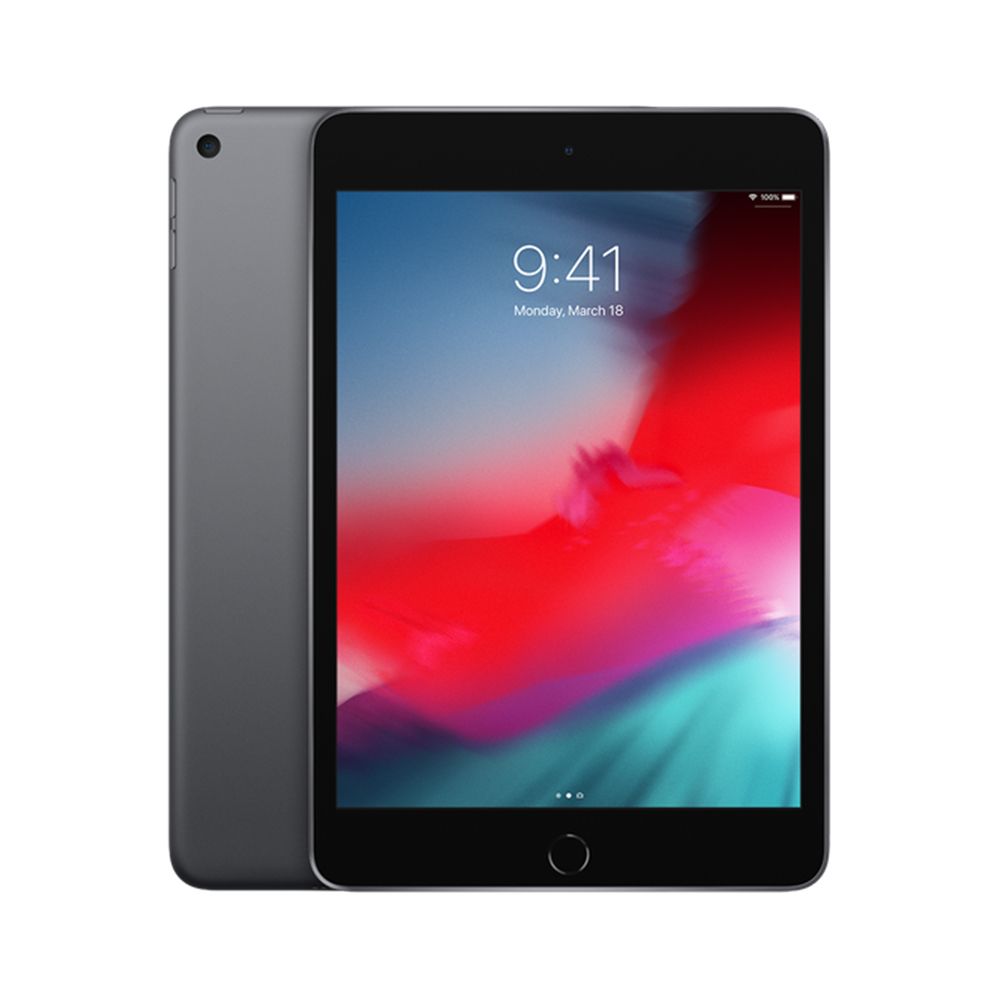 Begagnad iPad mini 5 Wi-Fi + Cellular 256GB Space Gray - 256GB